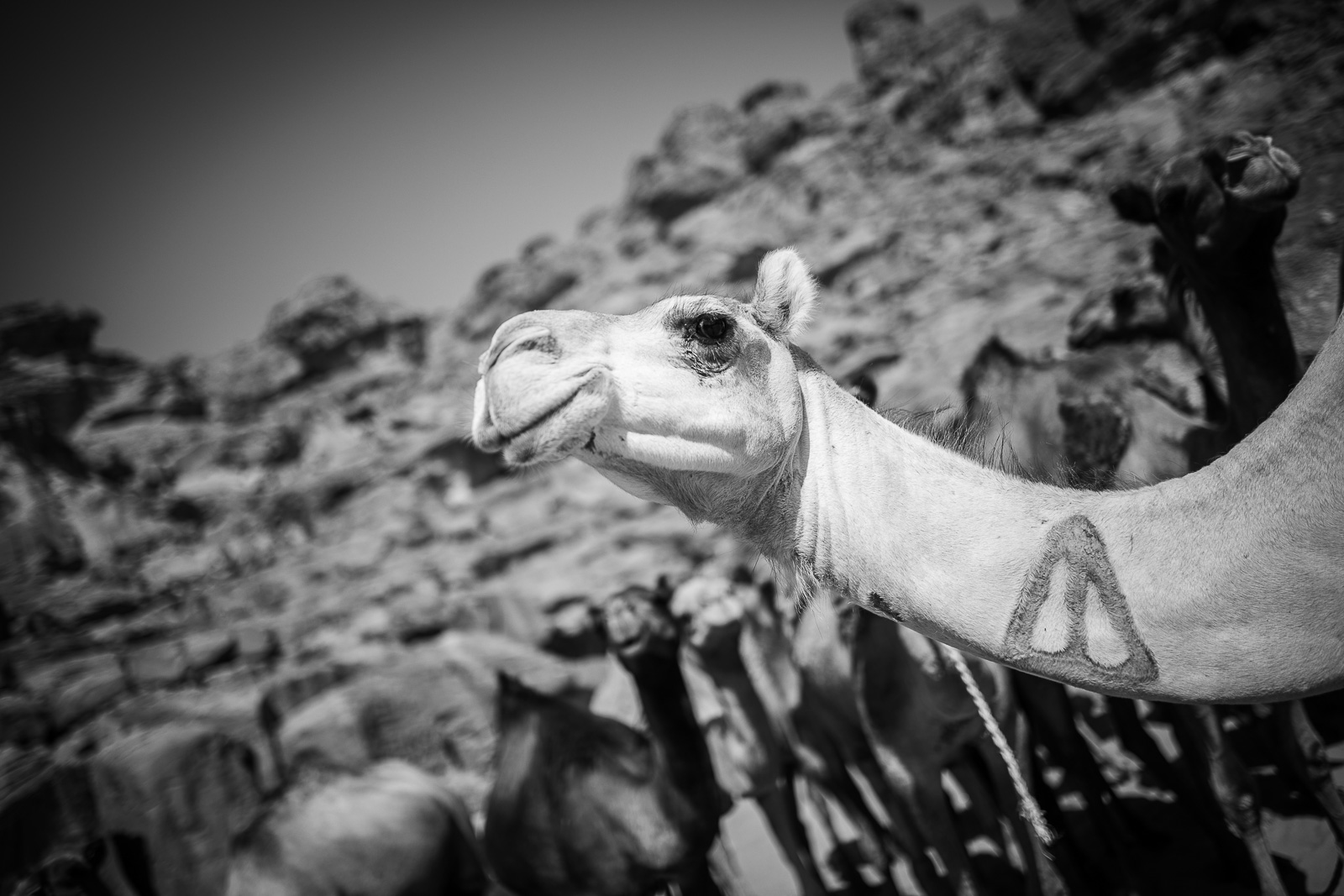 Human & Nature  outoftime 74